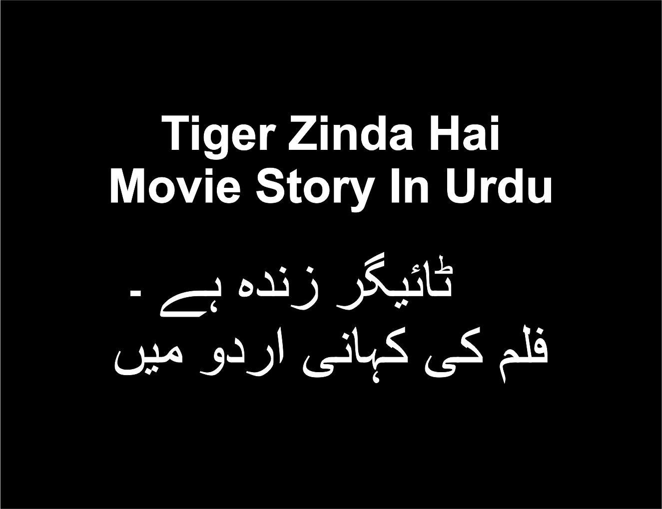 Tiger Zinda Hai Movie Story In Urdu